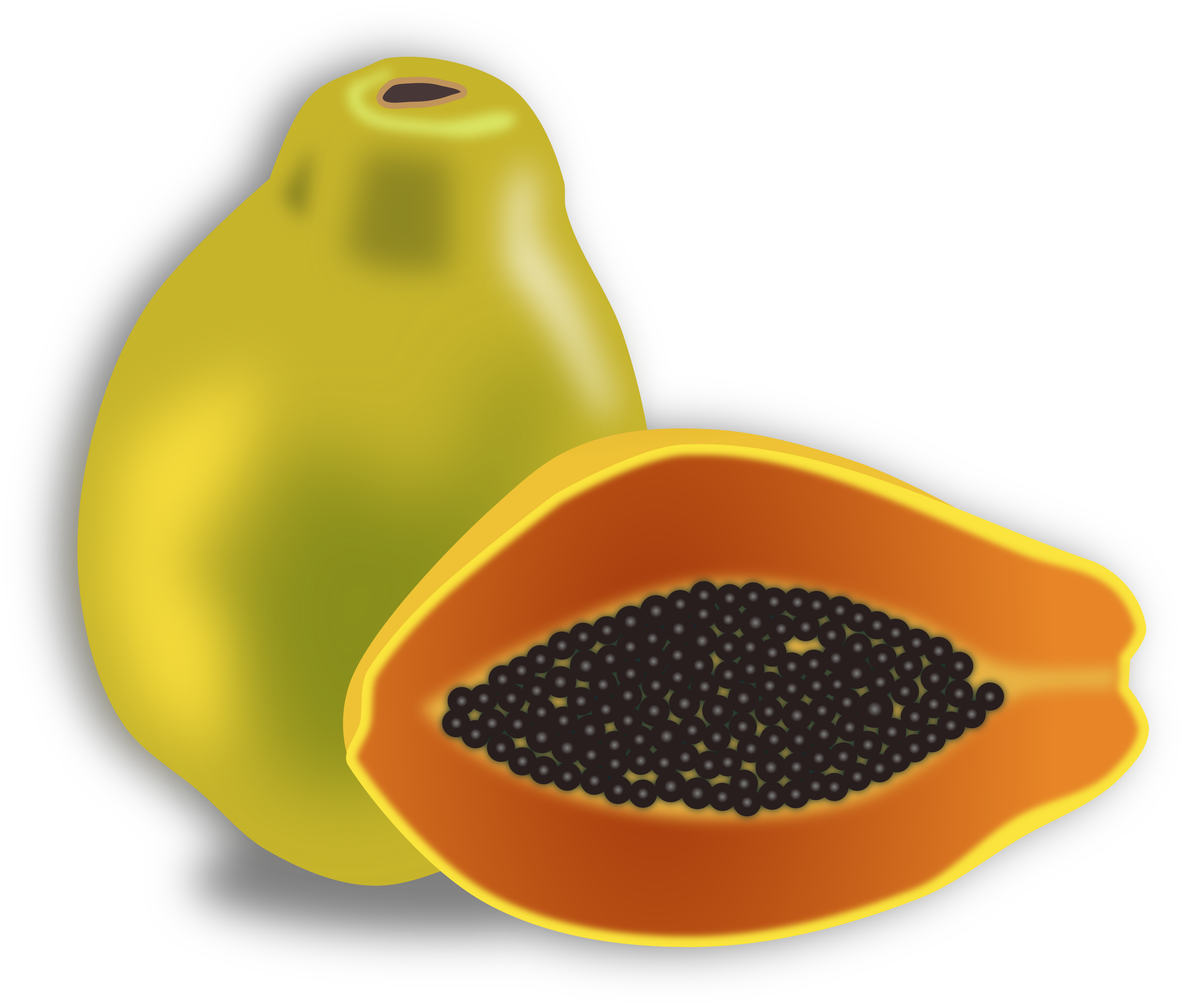 Papaya Clipart & Look At Papaya HQ Clip Art Images.