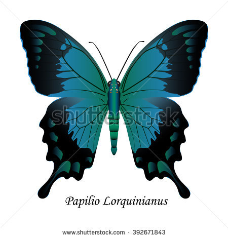 Indian Swallowtail Butterfly Papilio Polymnestor Illustration.