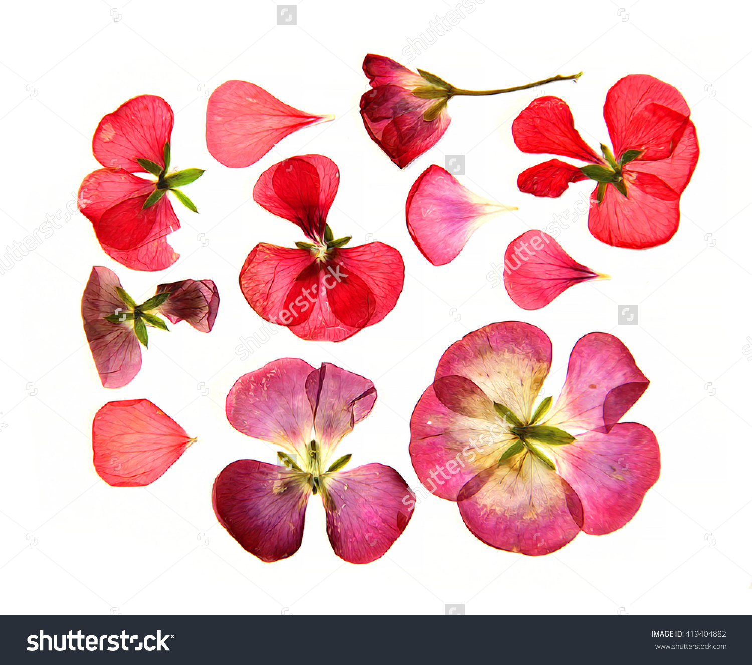 Oil Draw Red Pink Brown Pressed Stock Illustration 419404882.