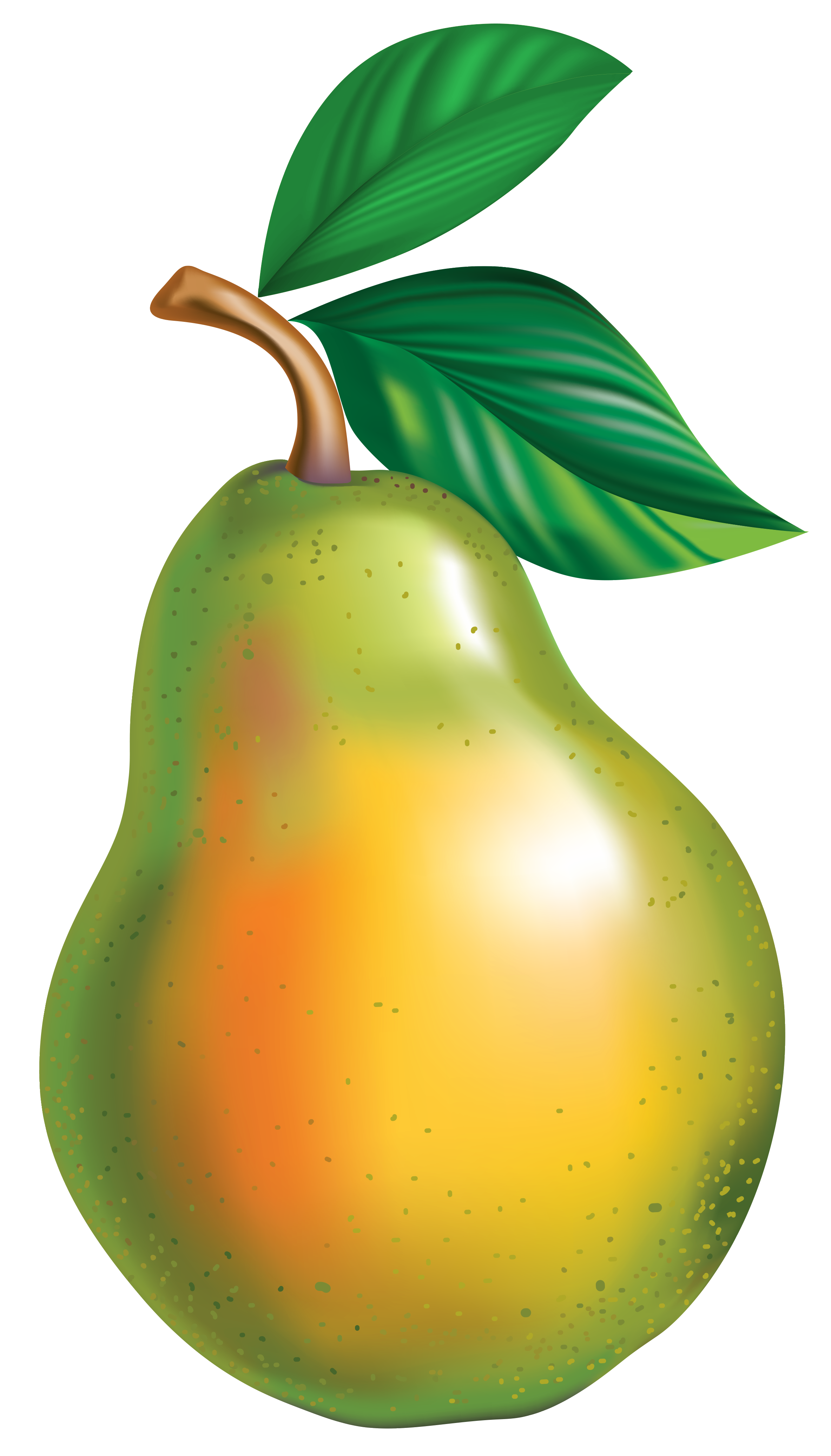 Pear PNG Clipart Picture.