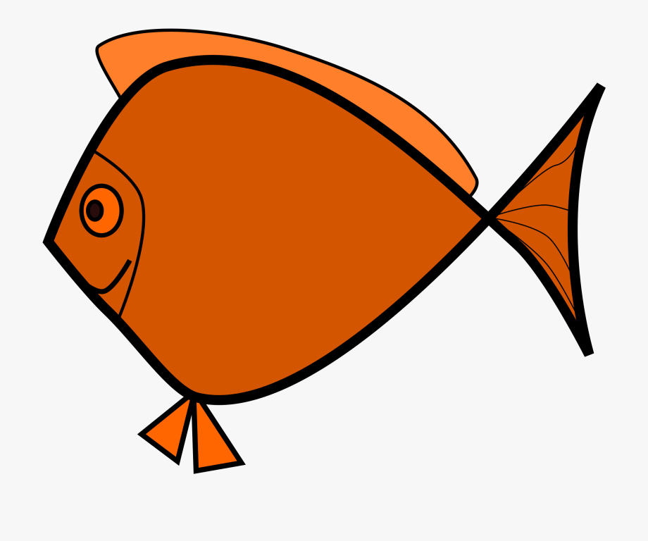 Fish Jpg Royalty Free.