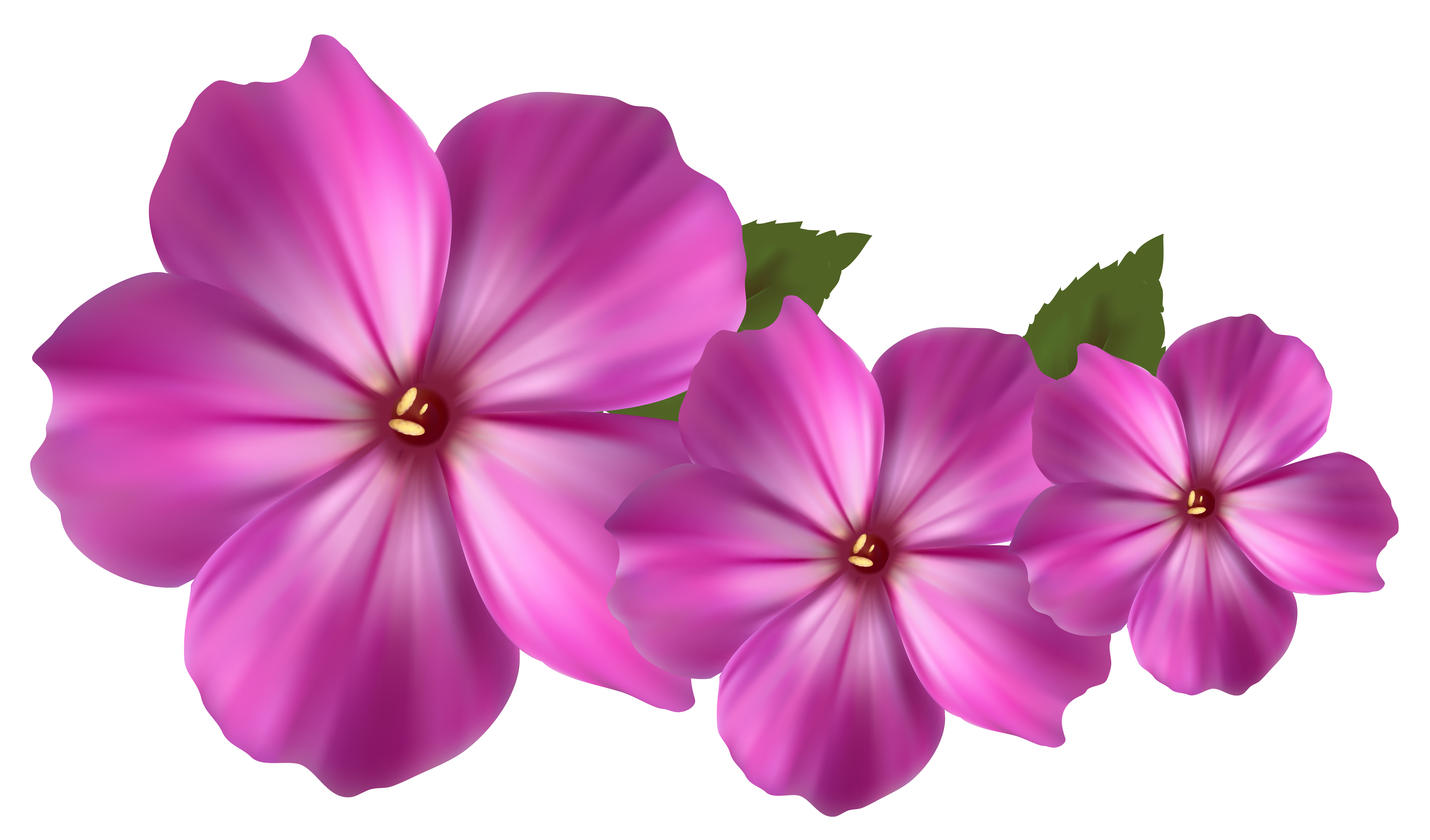 periwinkle PNG Images.