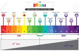 Ph scale clipart » Clipart Portal.