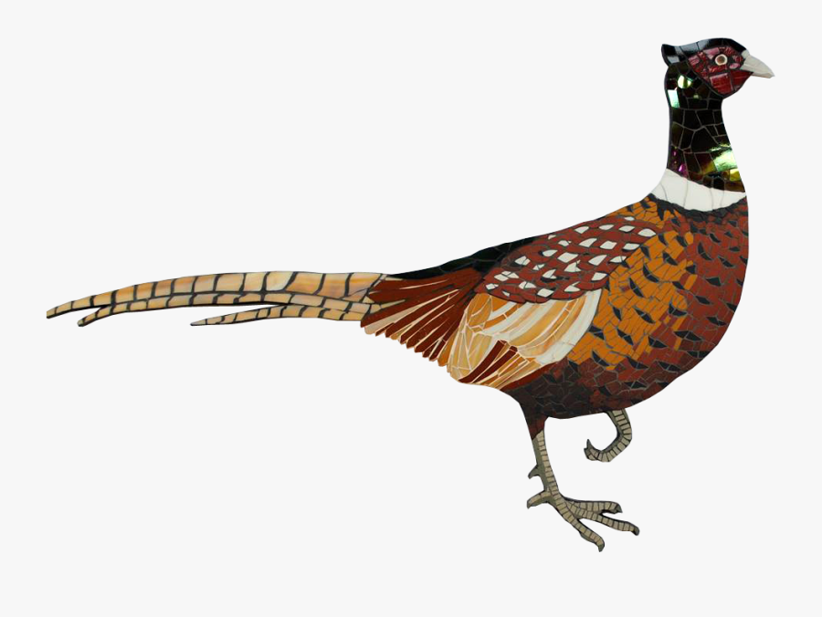 Transparent Pheasant Clipart.