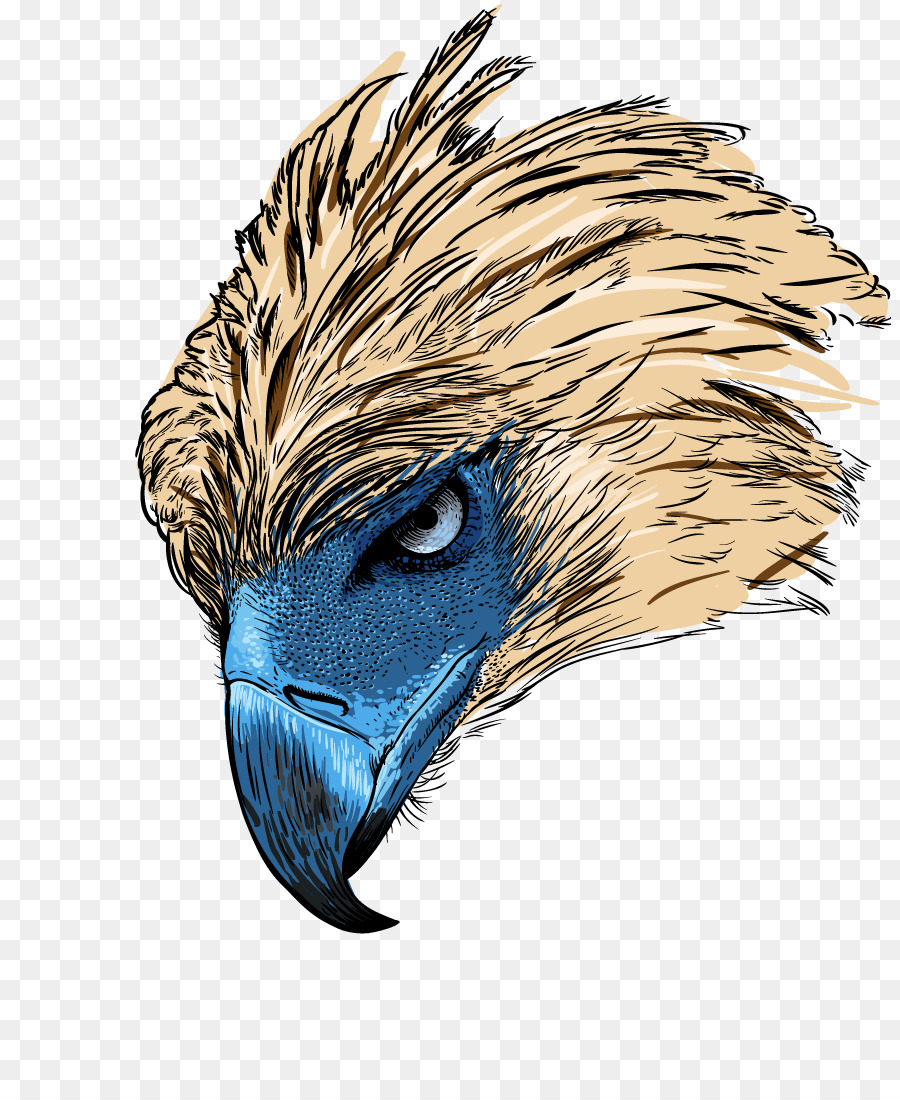 Eagle Drawing clipart.