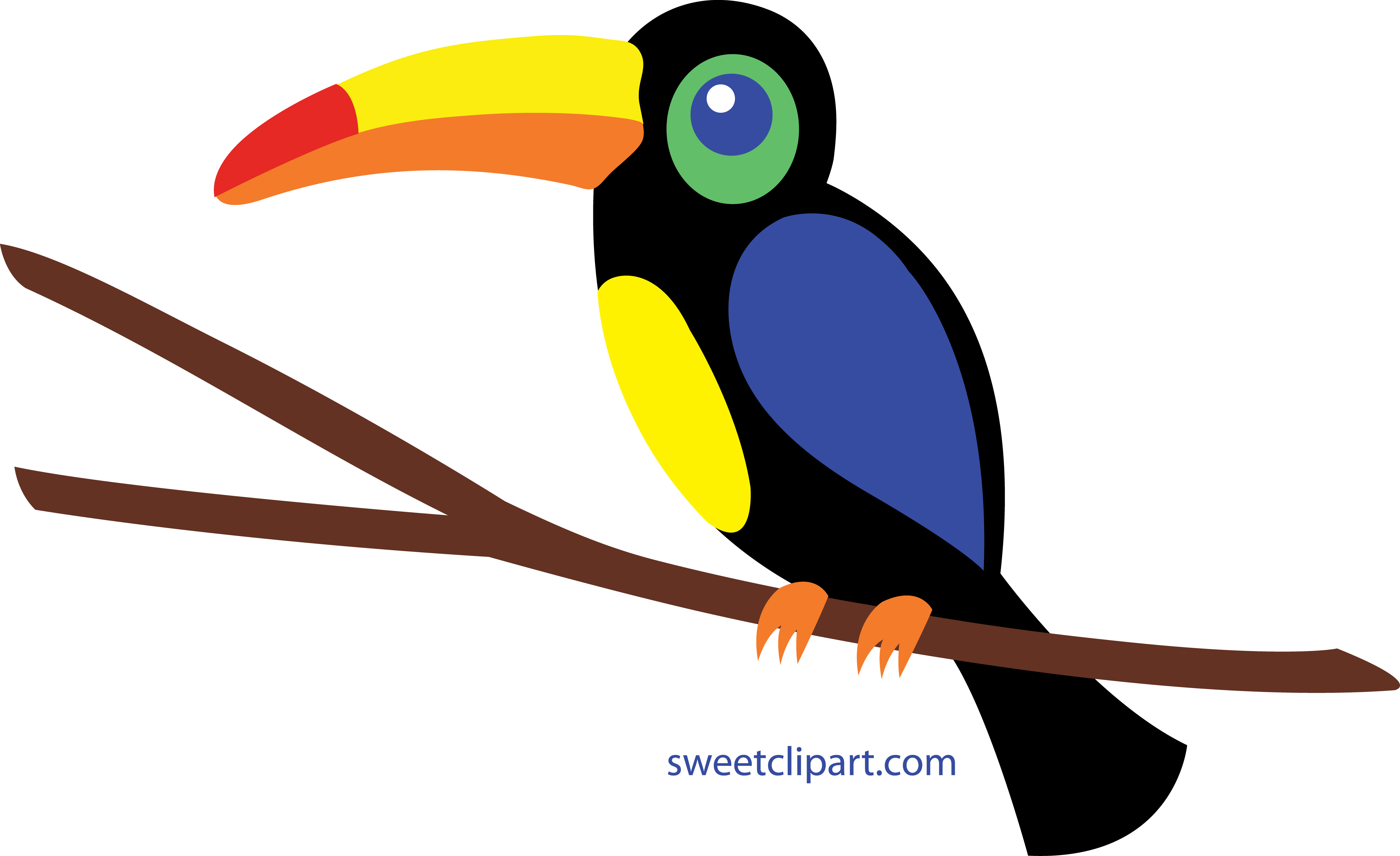 Colorful Toucan Clip Art.