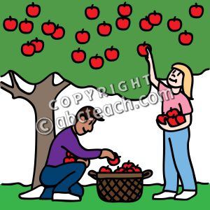 Apple Picking Clip Art.