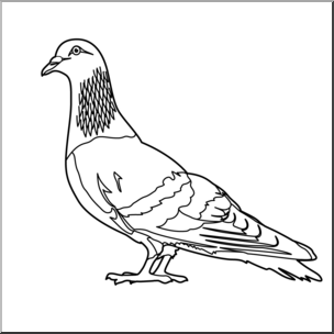 Clip Art: Pigeon B&W I abcteach.com.