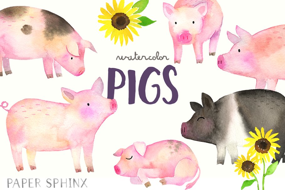 Watercolor Pigs Clipart Pack.