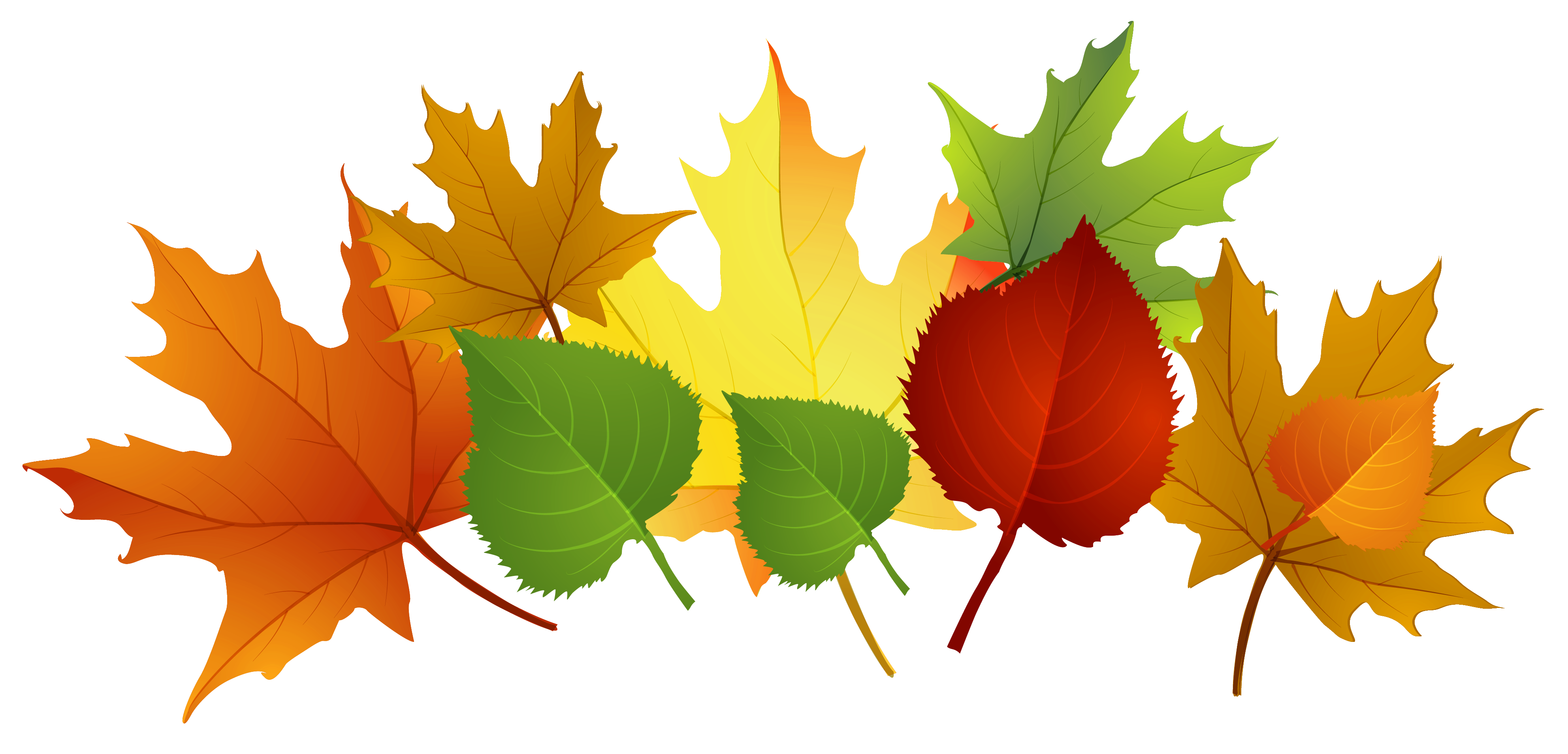 Fall leaves clip art images clipart images gallery for free.