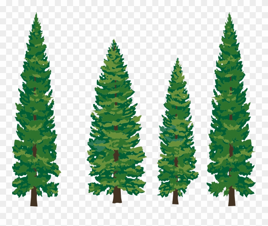 Clip Art Pine Tree.