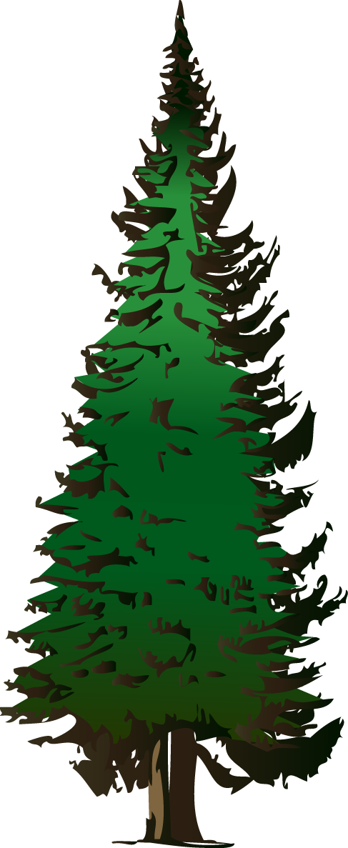 Pine tree clipart free clipart images 5.