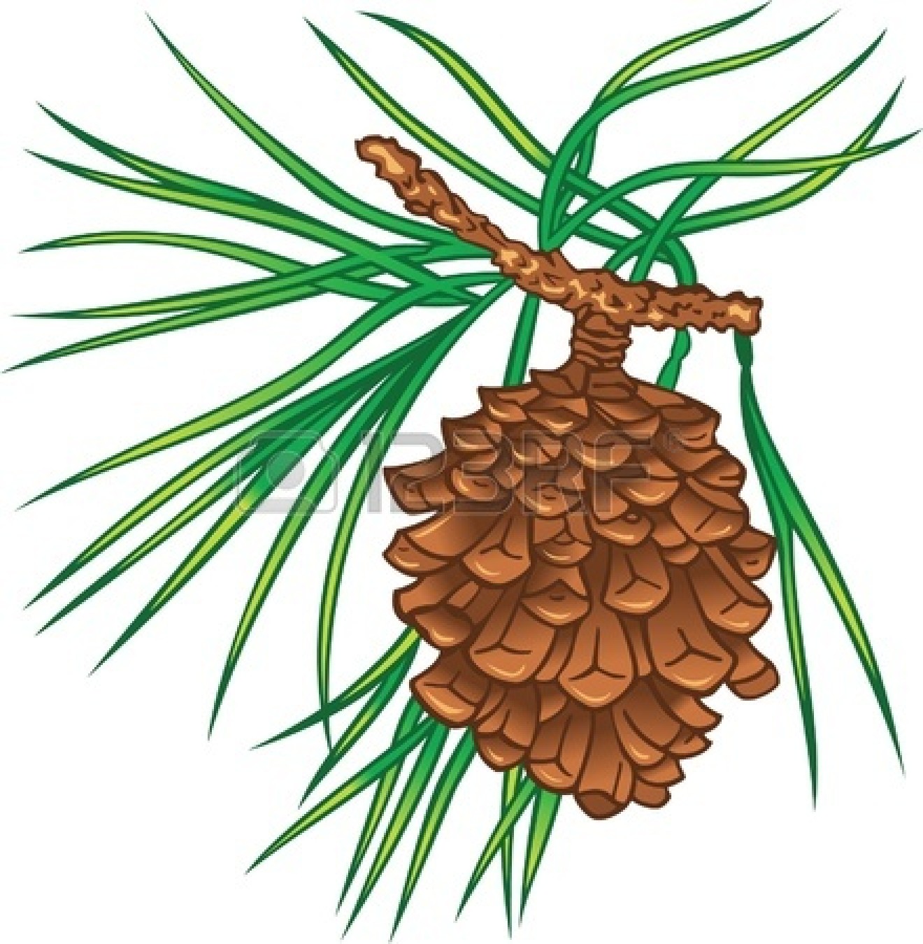 Clip Art Pine Cone Panda Free Images clipart free image.