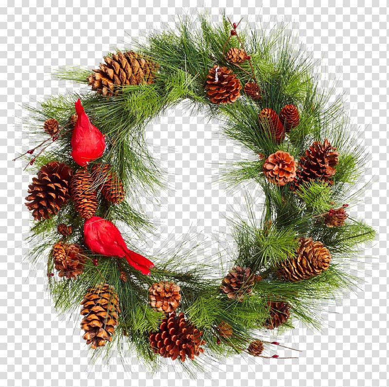 Real Christmas pinecone grass ring transparent background.