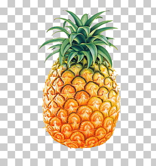 8 pineapple Tumblr PNG cliparts for free download.