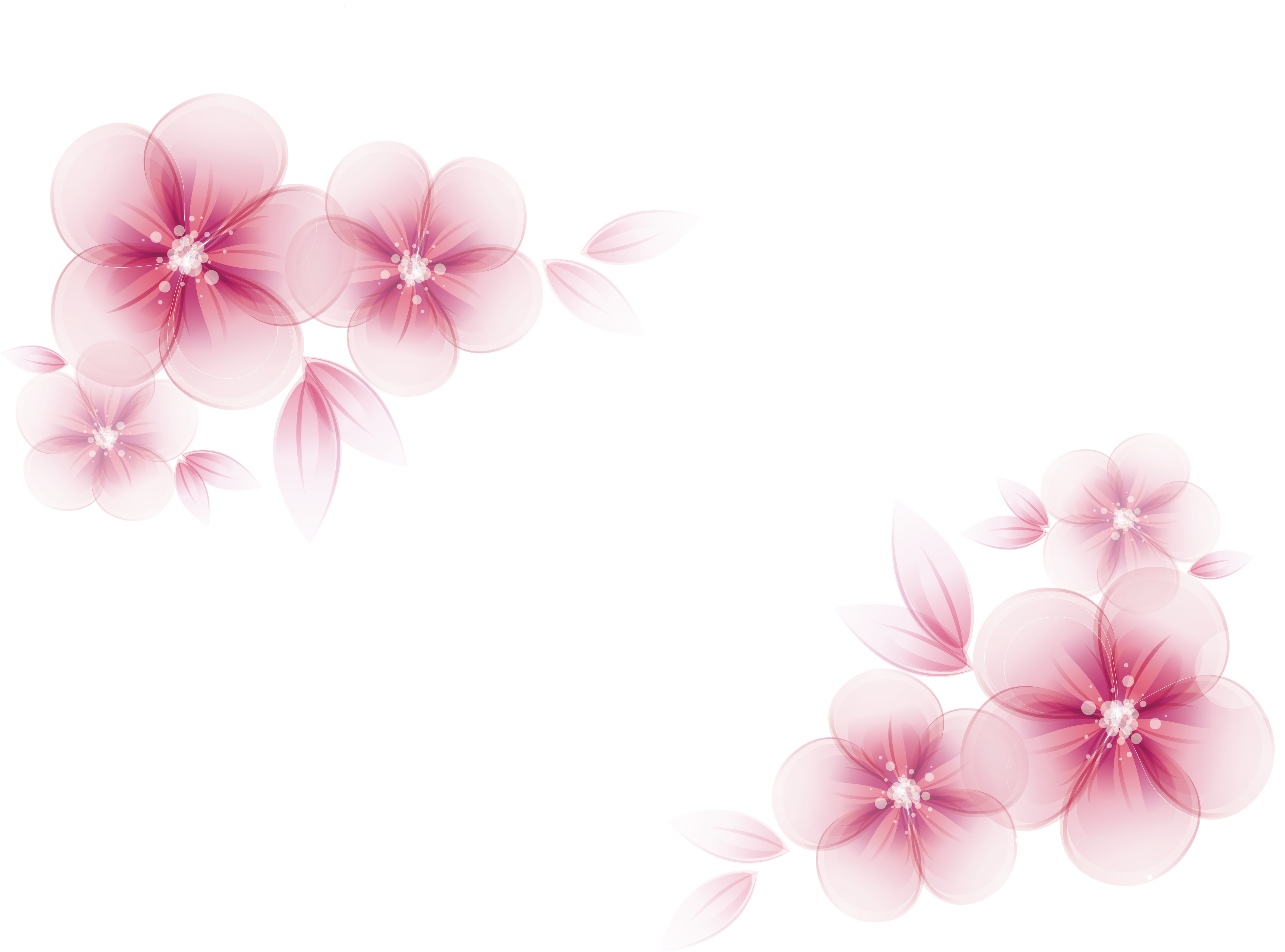 Pink Flower Vector at GetDrawings.com.