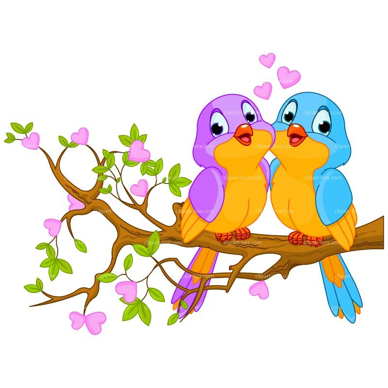 Cartoon birds vector.