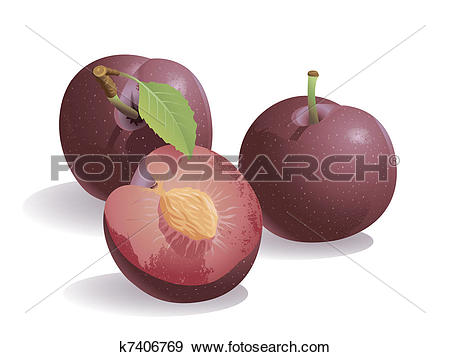 Plum Clip Art Royalty Free. 5,391 plum clipart vector EPS.