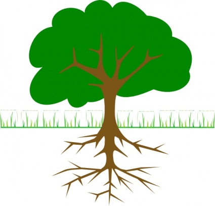 Tree Outline Vector.