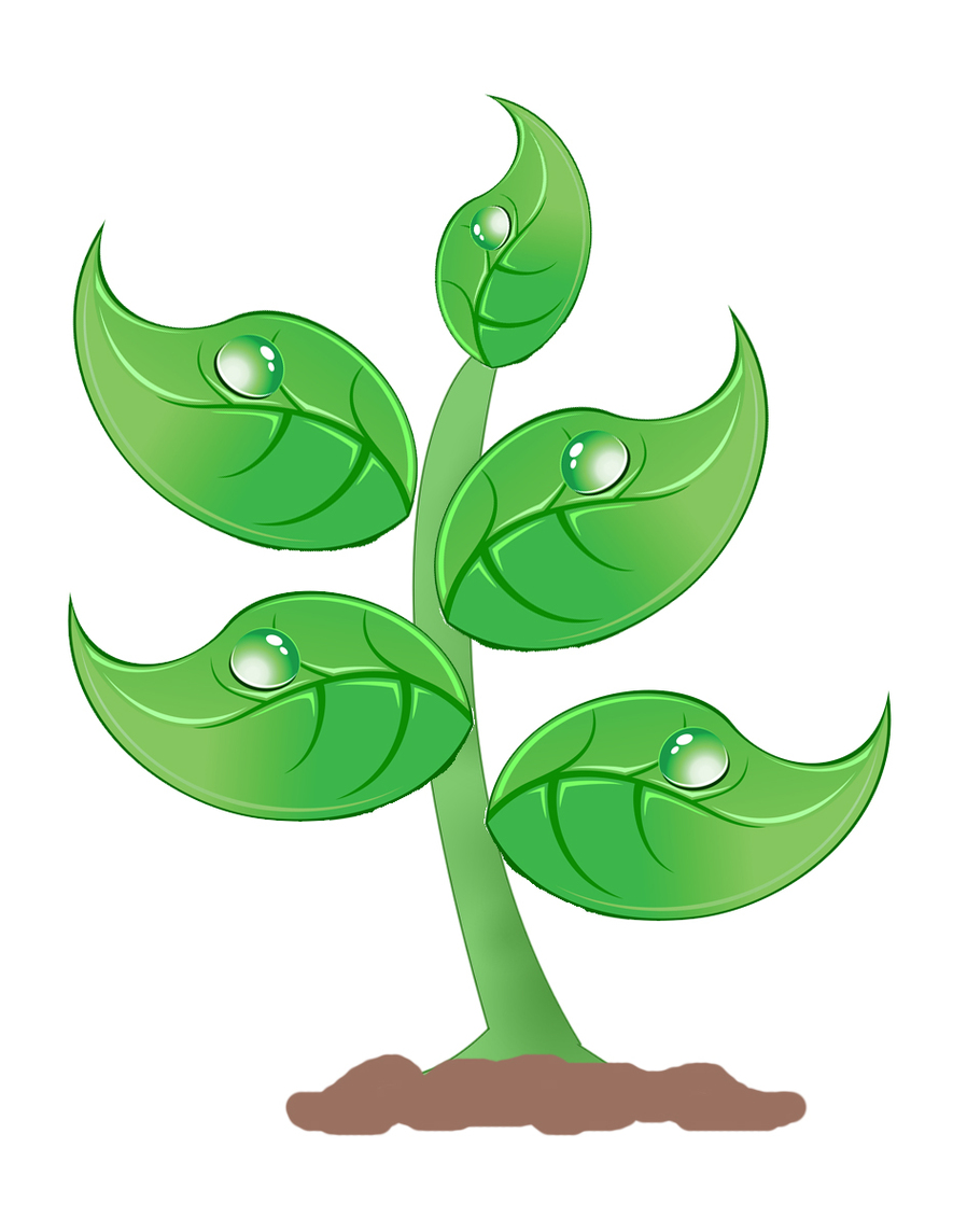 Plant Clipart, Plants Free Clipart.