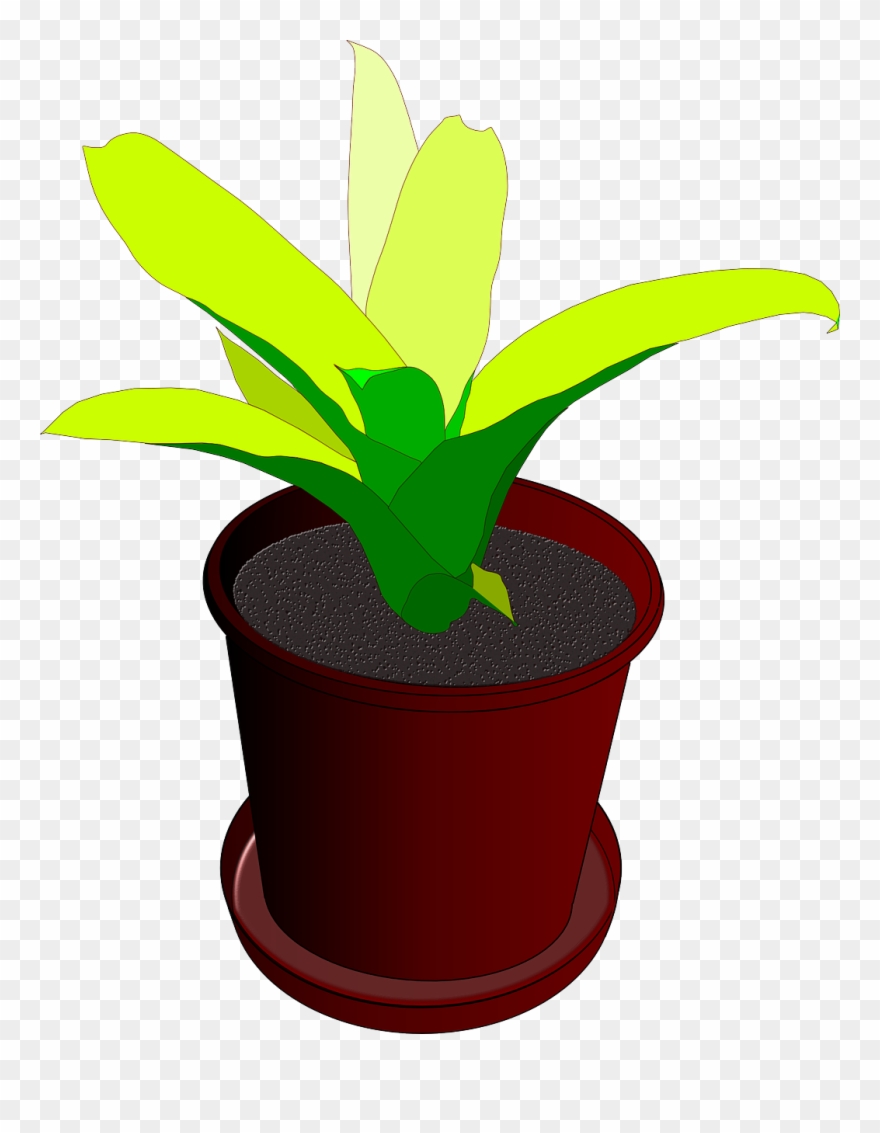 Plant,pot,flower Pot,plant Pot,green,free Vector Graphics.