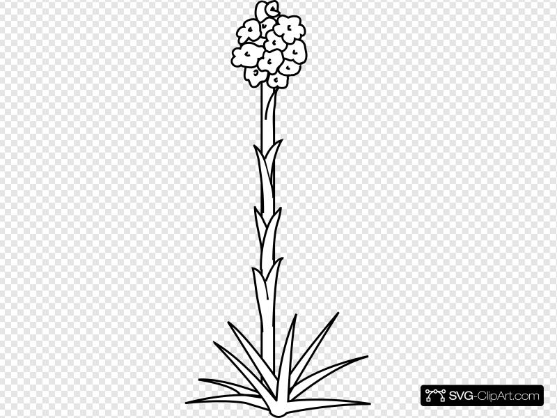 Plant Flower Outline Clip art, Icon and SVG.