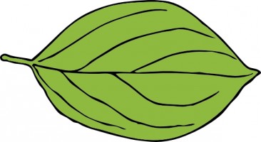 Leaf Clip Art Free.