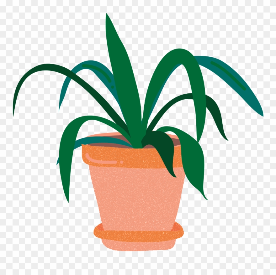 Plants Clipart Plant Life.