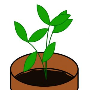 Free Plant Sale Cliparts, Download Free Clip Art, Free Clip.