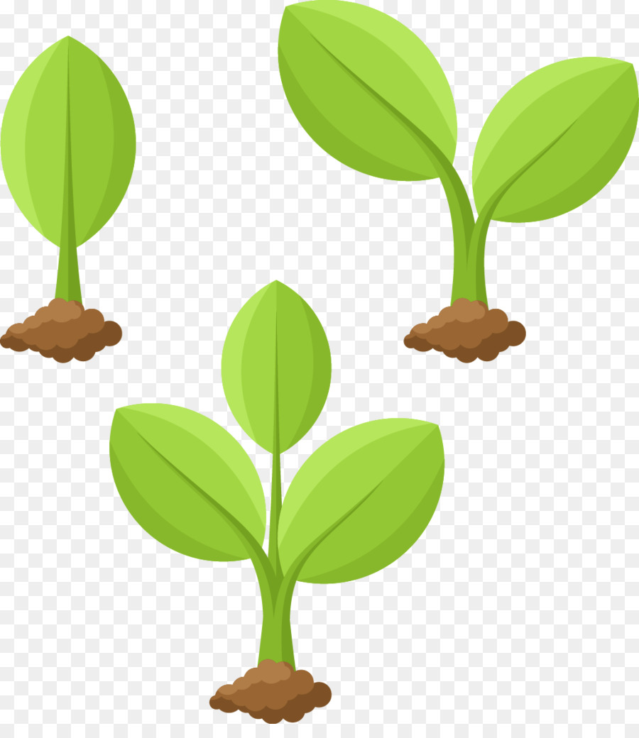 Cartoon Plants Png & Free Cartoon Plants.png Transparent.