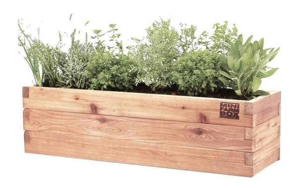 Free Planter Box Cliparts, Download Free Clip Art, Free Clip.