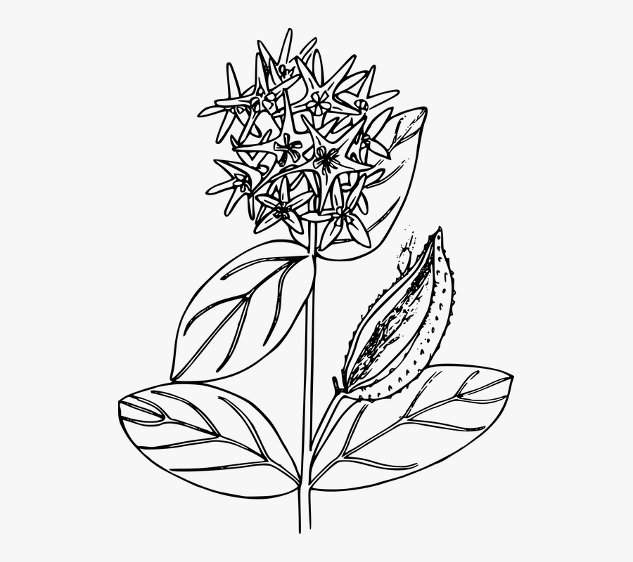 Transparent Planting Clipart Black And White.