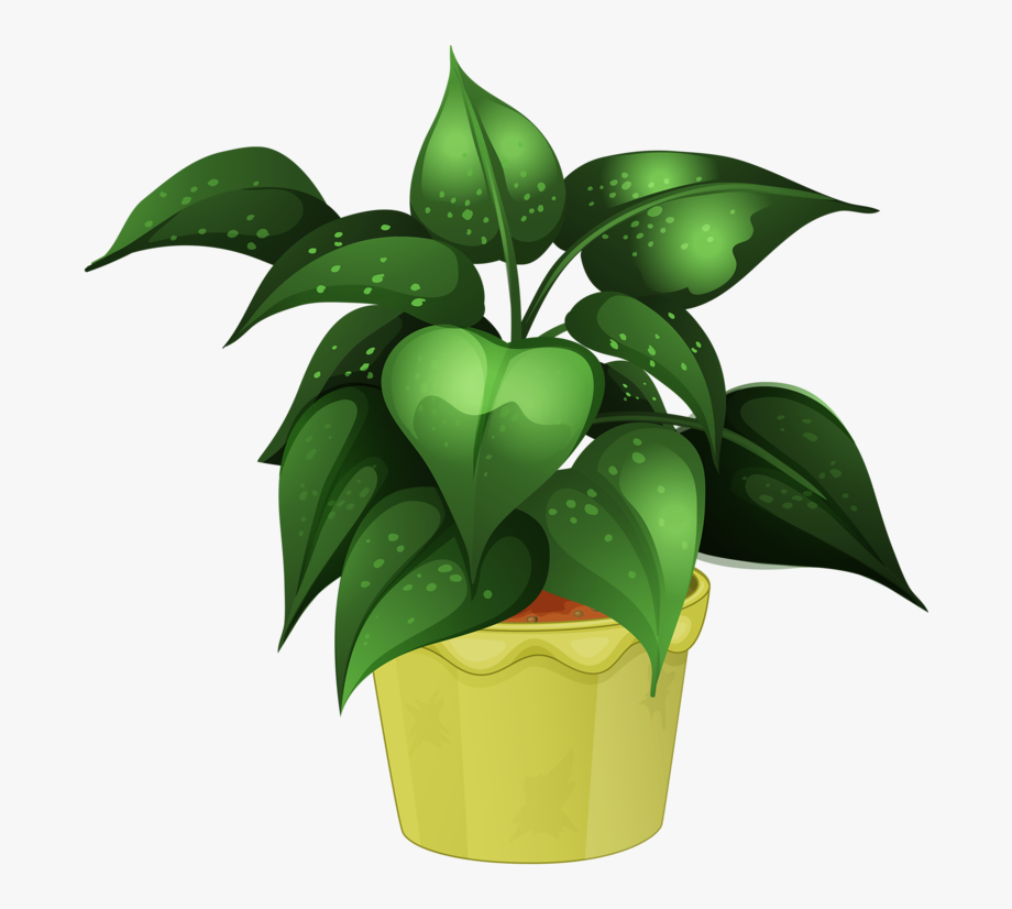 Flower Pot Illustration Png.