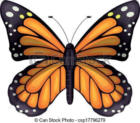 Vectors Illustration of Danaus plexippus.