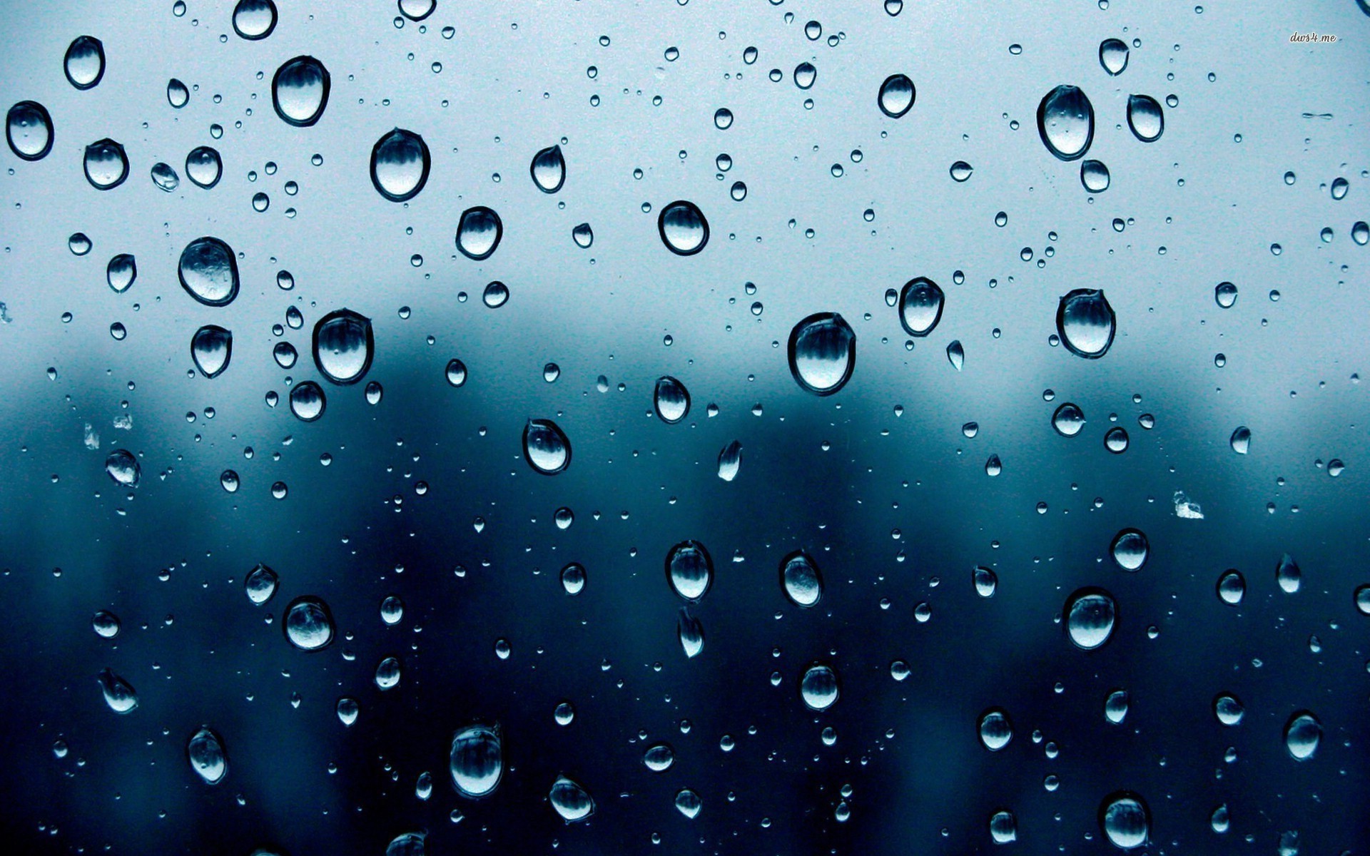 Raindrops Wallpaper.