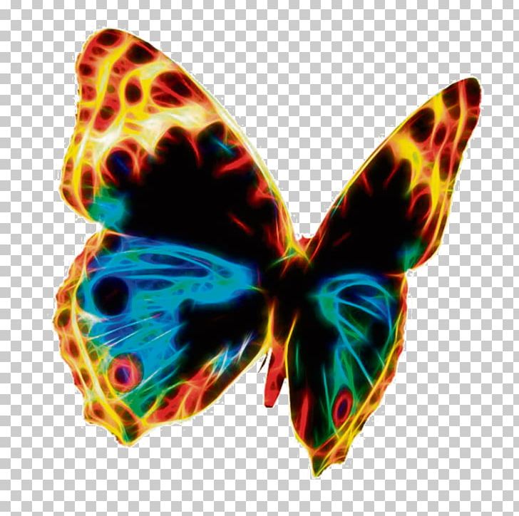 Butterfly Public Domain PNG, Clipart, Brush Footed Butterfly.