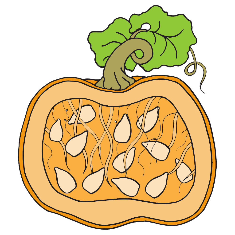 Pumpkin pulp clipart.