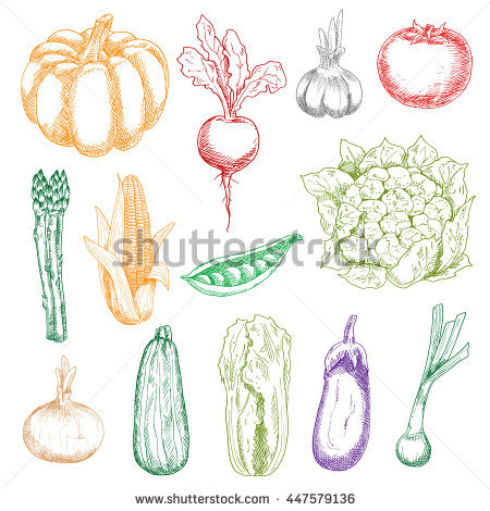 Pungent Stock Vectors, Images & Vector Art.