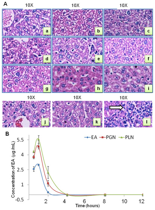 Small molecule inhibitors of HCV replication from Pomegranate.