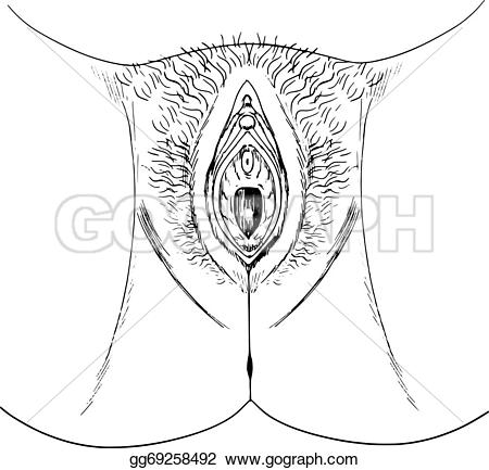 431 Nude Vagina Cliparts, Stock Vector And Royalty Free Nude Vagina.