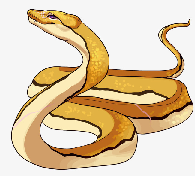 Snakes, Drawing, Graphics, Snake, Font, Pattern.