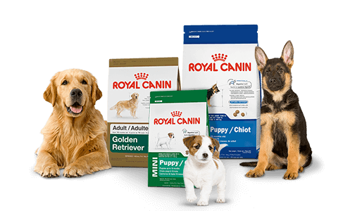 Pet Food Cyprus delivers Royal Canin to your home!.