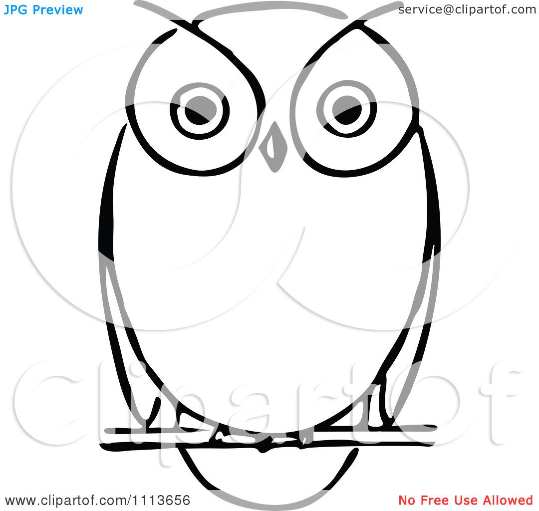 black and white clip art free owls.