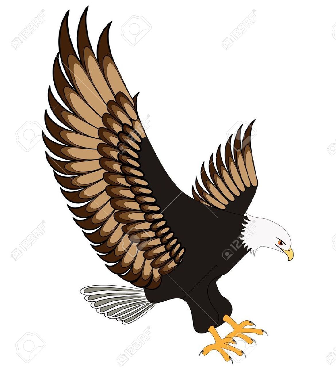 Eagle Stock Vector Illustration And Royalty Free Eagle.