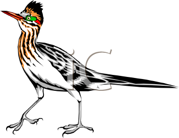 Roadrunner Clipart Free.