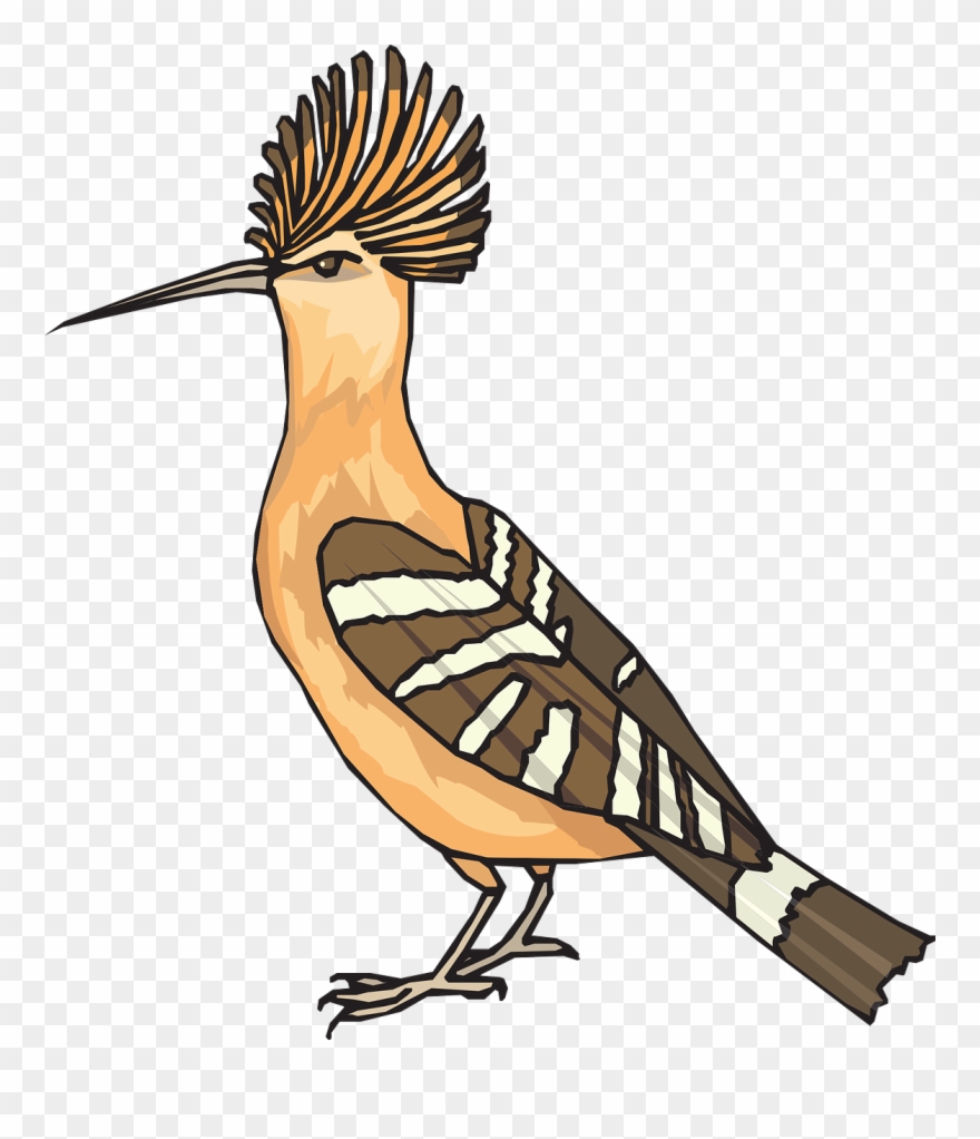 Roadrunner Clipart Angry.