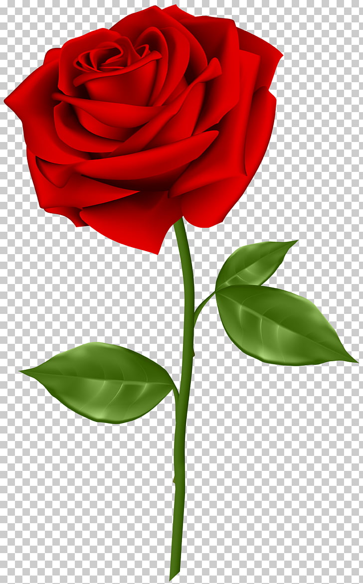 Rosa roja ilustración, rosa azul, rosa roja PNG Clipart.