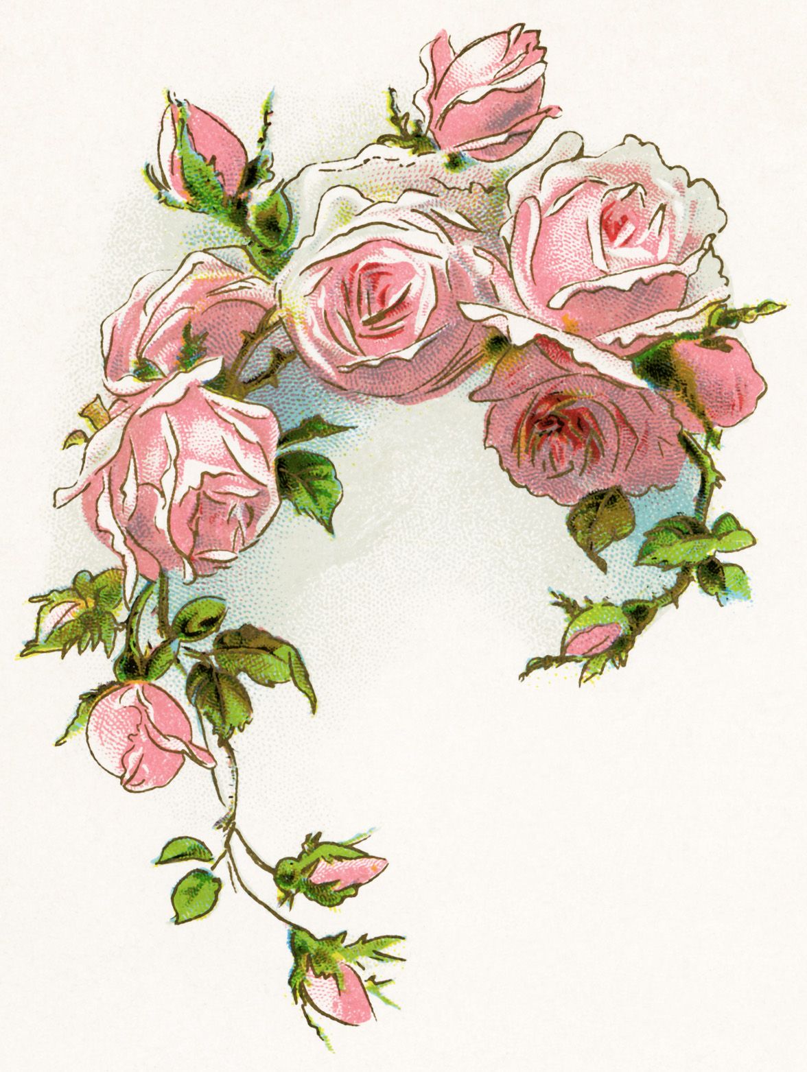 victorian flower images.