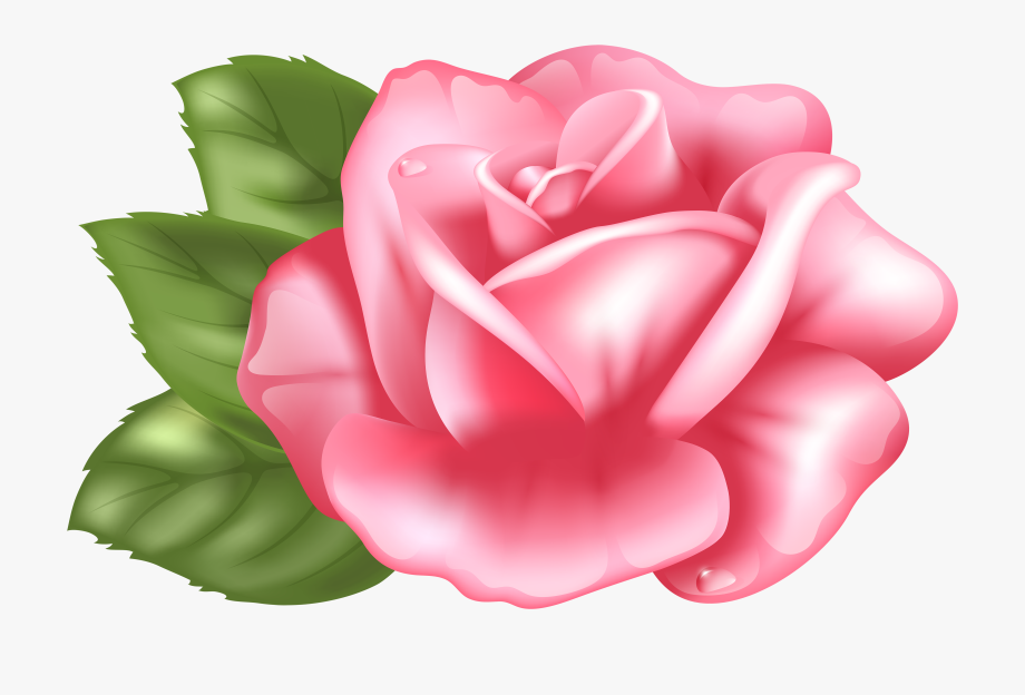 Rose Garden Clipart Free Download Best Rose Garden.