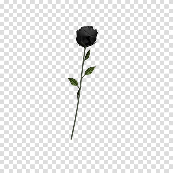 Black rose Art Emoji, undead transparent background PNG.